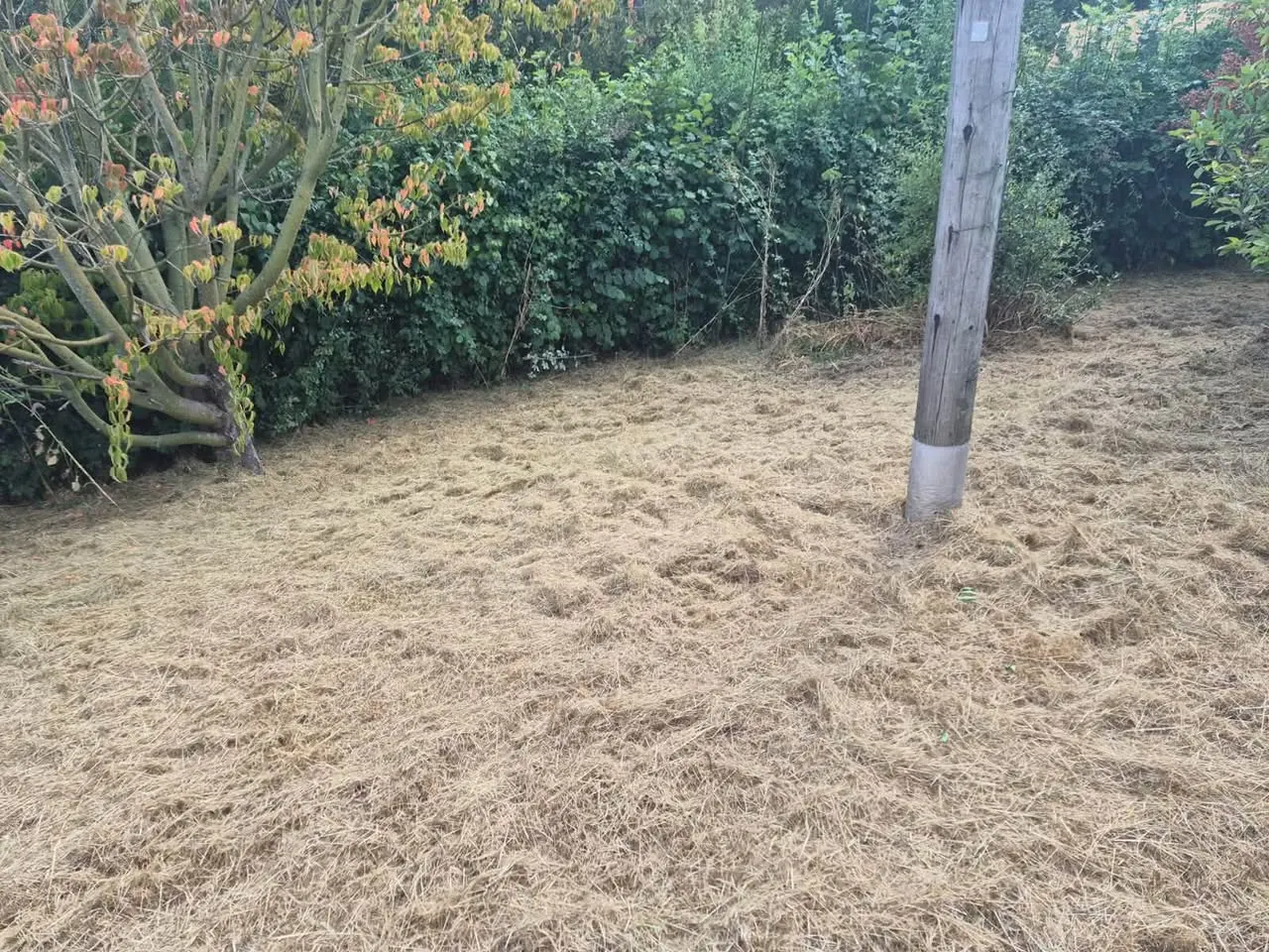 Care home grounds, Gloucestershire