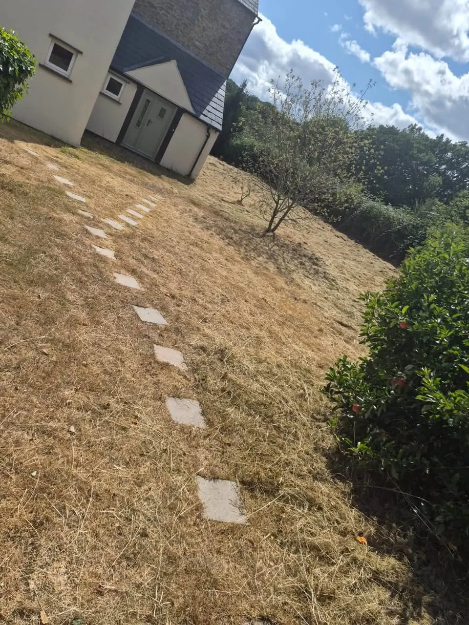 Garden path and lawn