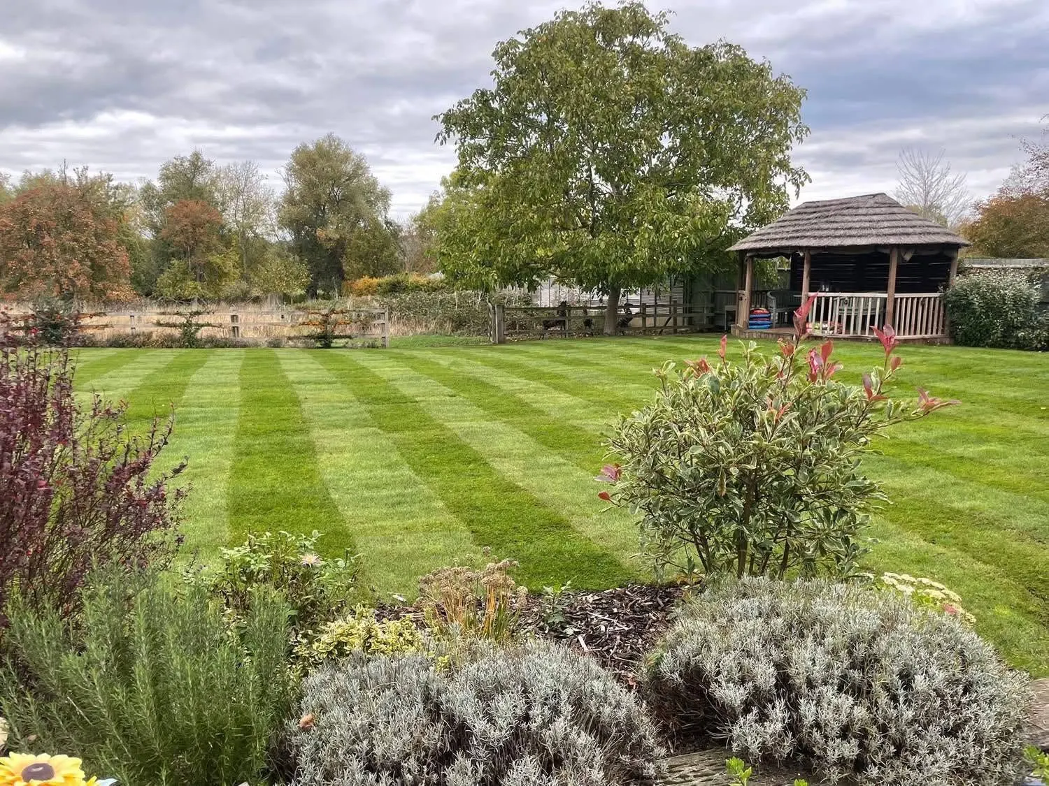 A freshly striped lawn with planted borders, maintained by J.Booth Garden Services