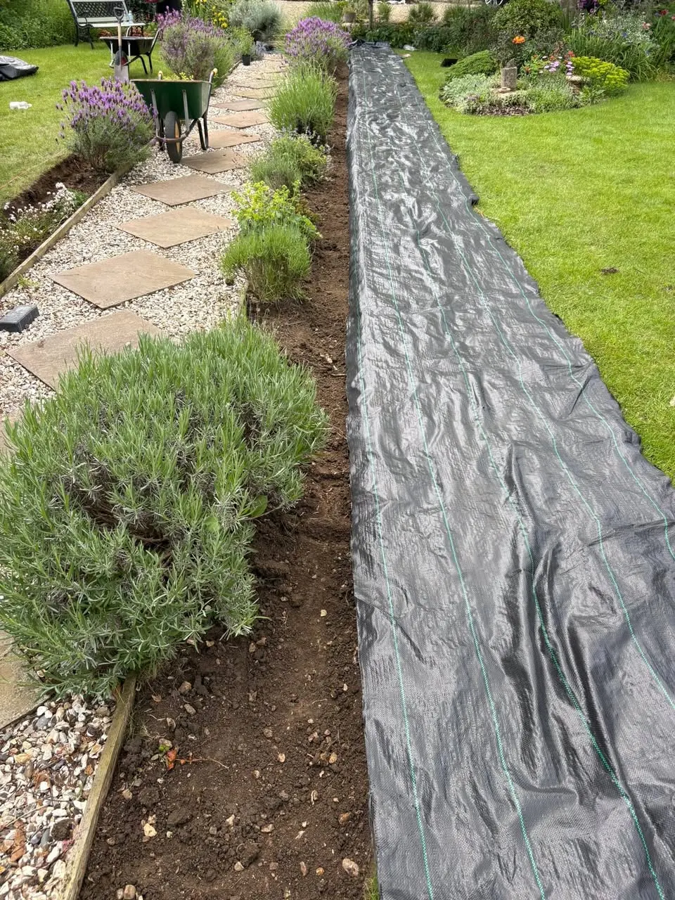 Slate and gravel path through the lawn, day 1